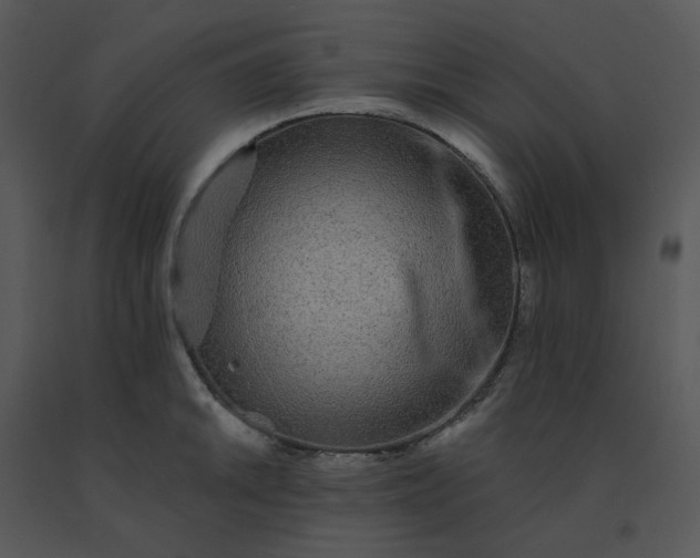 X0000091511046200708311223