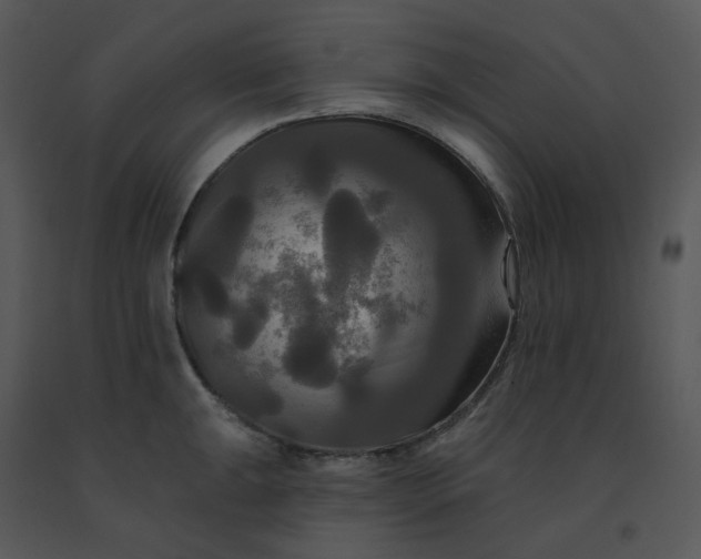 X0000091511047200708311223