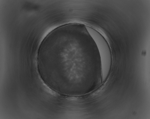 X0000091511048200708311223