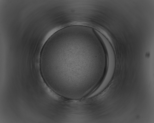 X0000091511050200708311223