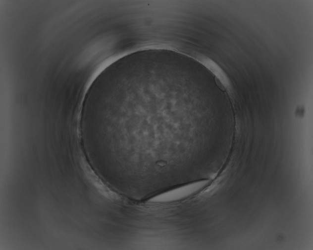 X0000091511052200708311223