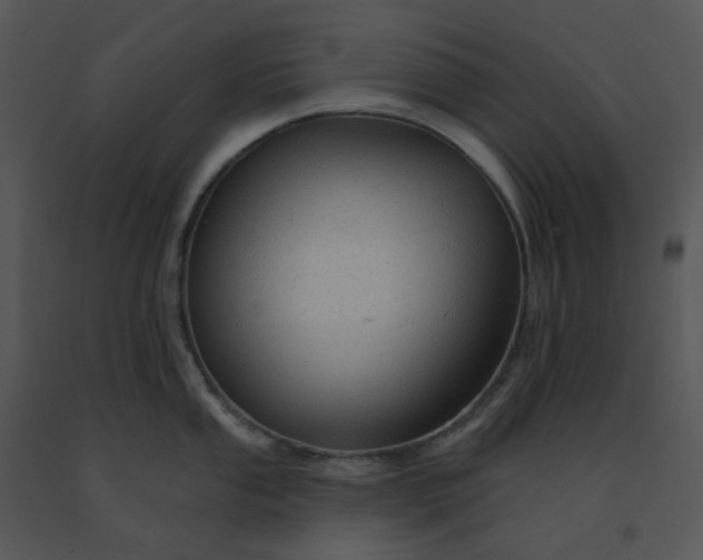 X0000091511053200708311223