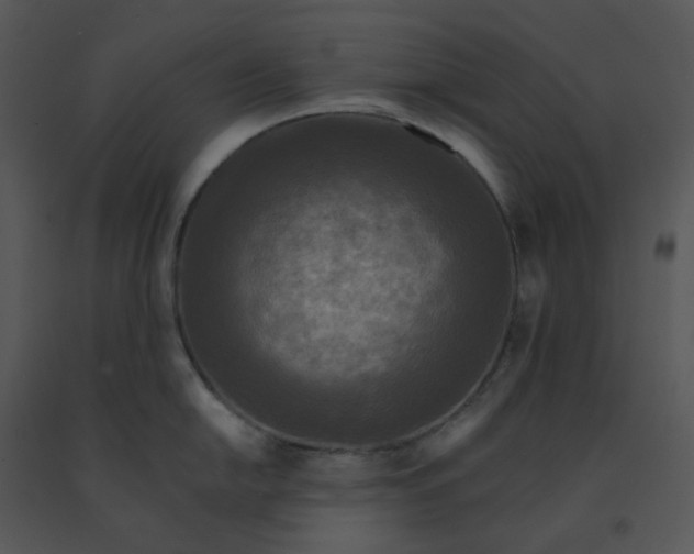 X0000091511054200708311223