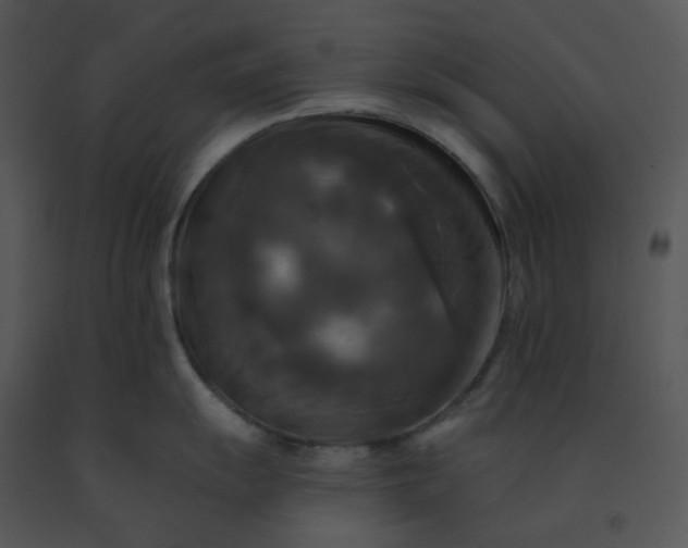 X0000091511055200708311223