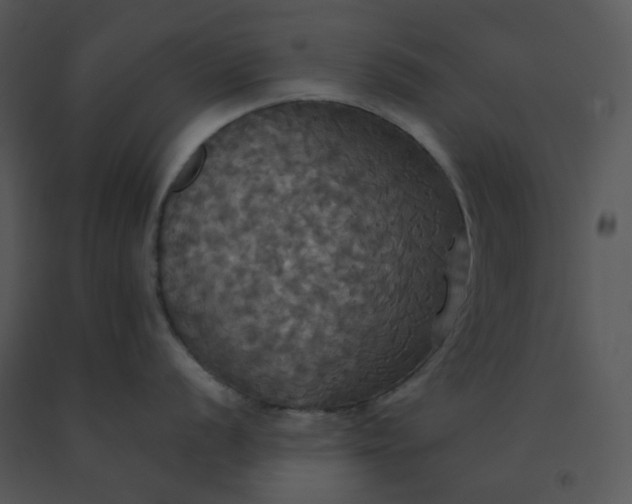 X0000091511056200708311223