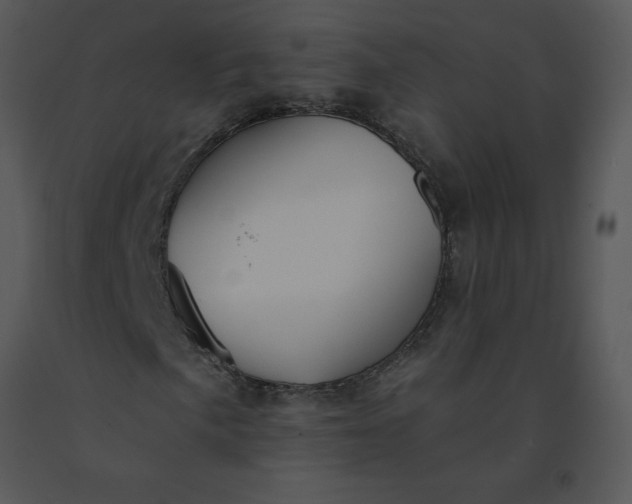 X0000091511057200708311222