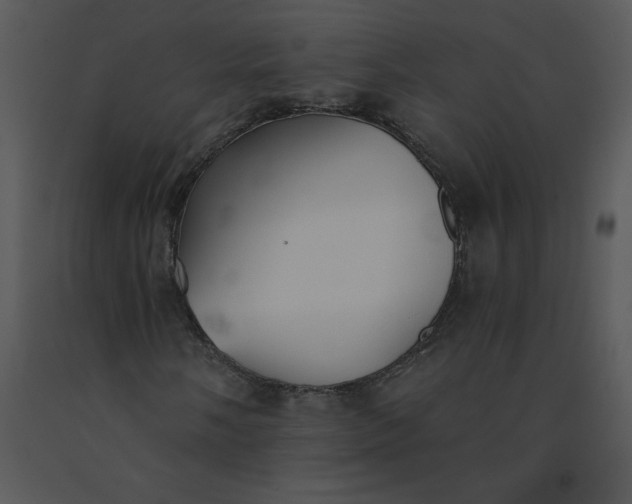 X0000091511058200708311222