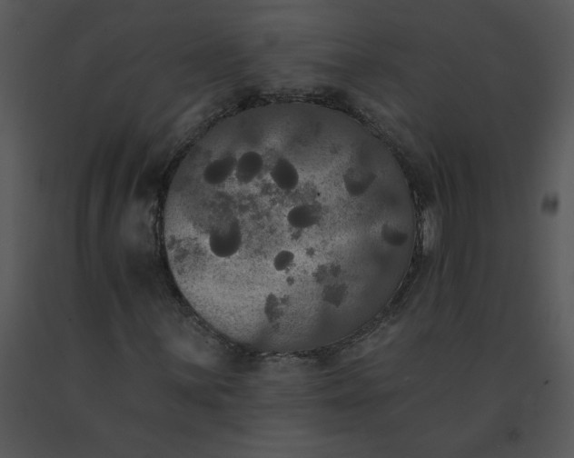 X0000091511059200708311222