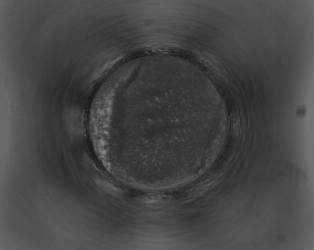 X0000091511060200708311222