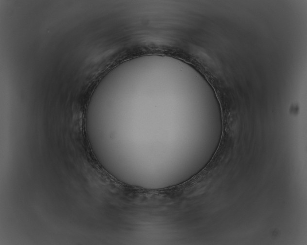 X0000091511061200708311222