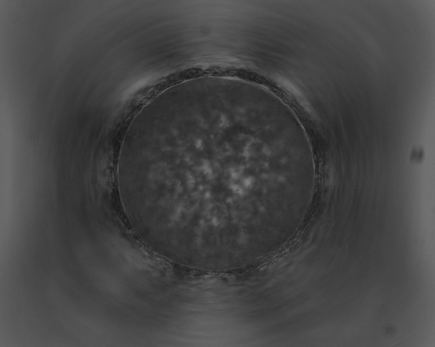 X0000091511063200708311222