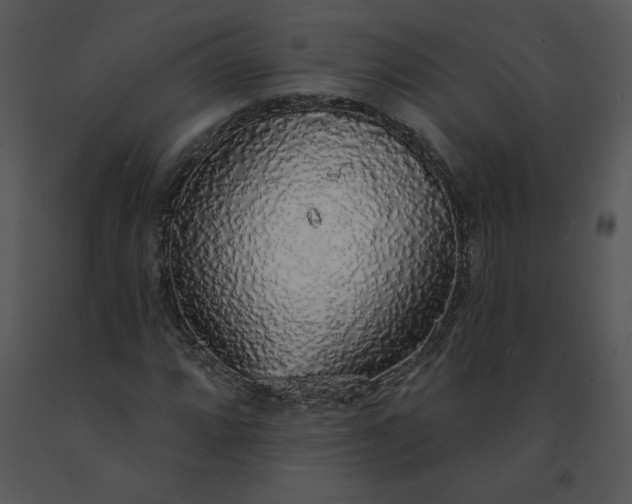 X0000091511064200708311222