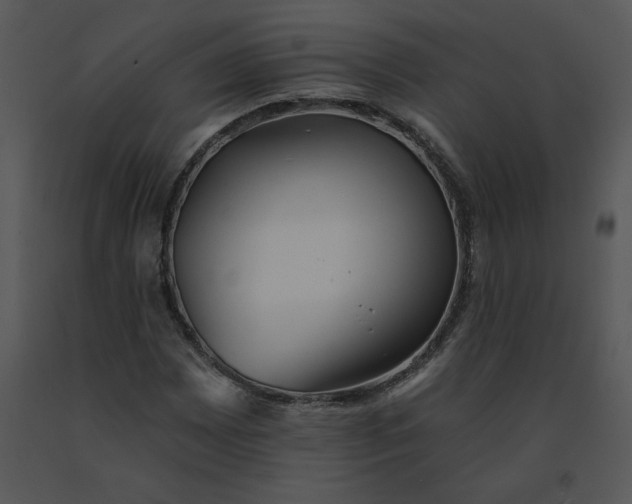 X0000091511065200708311222