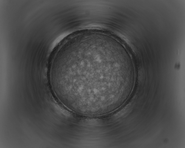 X0000091511066200708311222