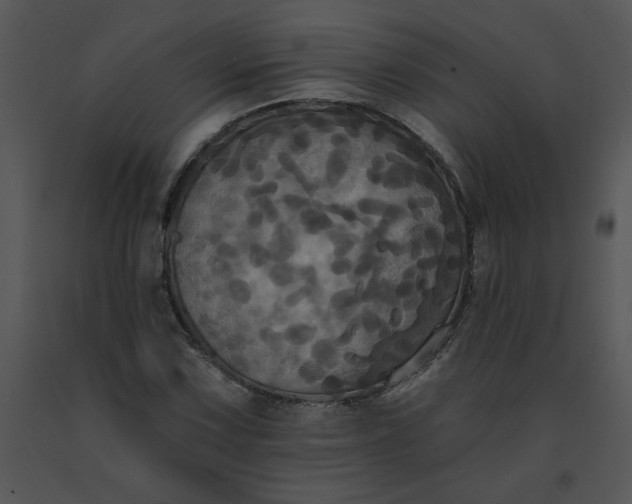 X0000091511067200708311222