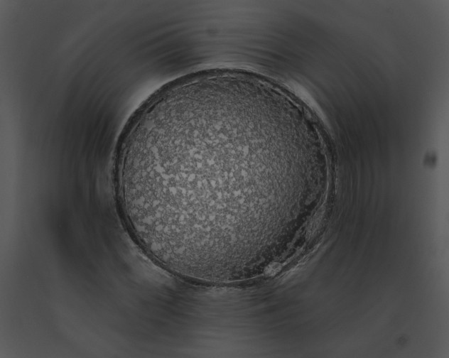 X0000091511068200708311222