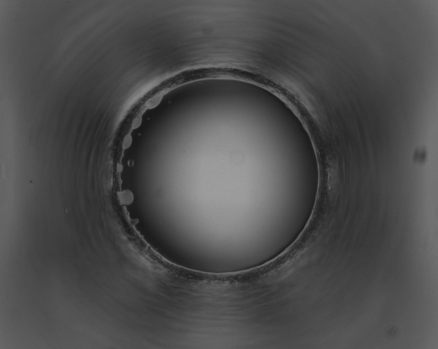 X0000091511069200708311222