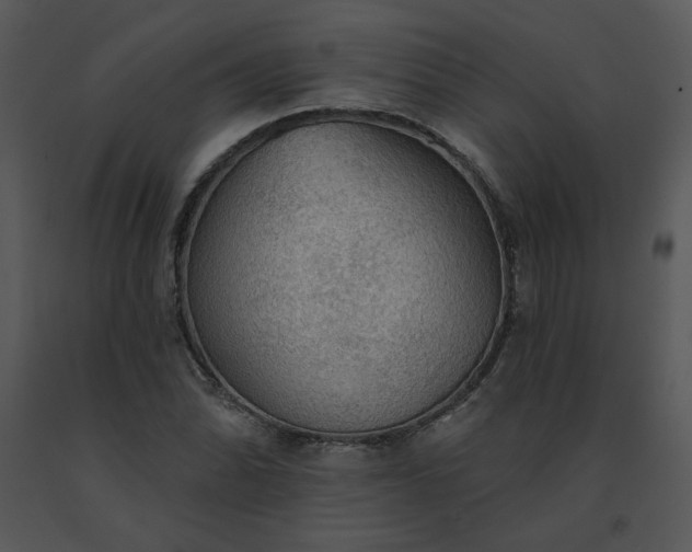 X0000091511070200708311222