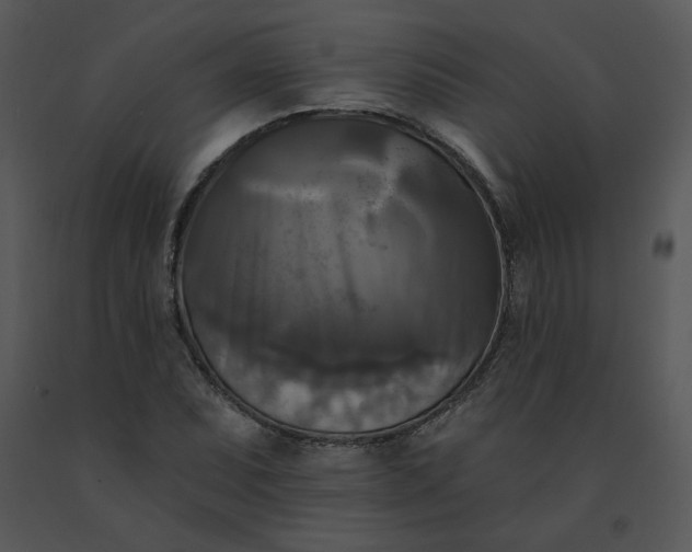 X0000091511071200708311222