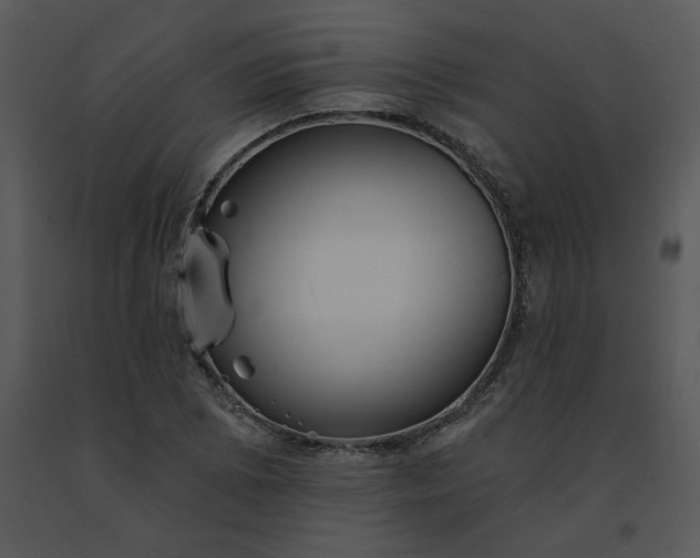 X0000091511073200708311222