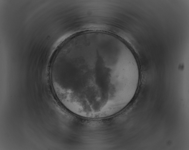 X0000091511074200708311222