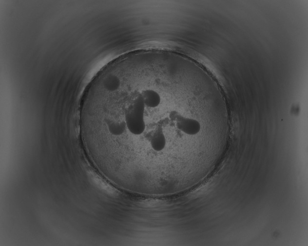 X0000091511075200708311222