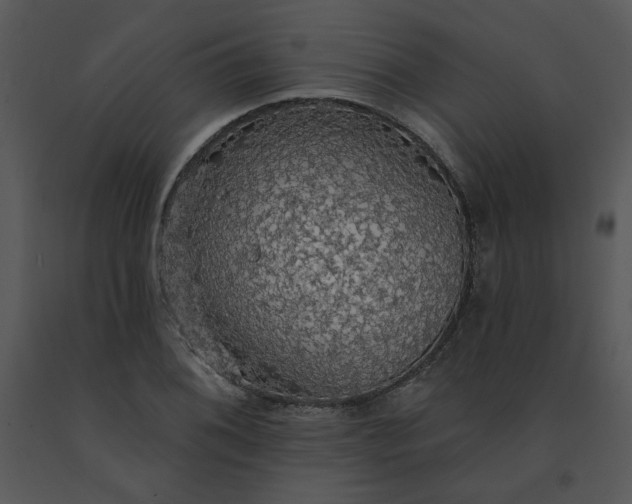 X0000091511076200708311222