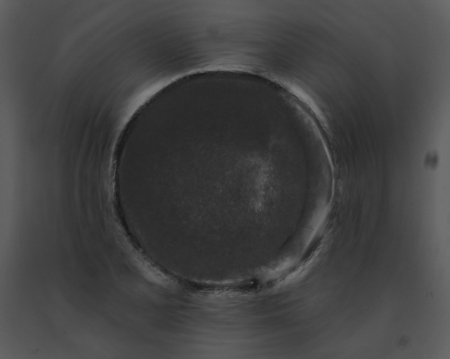 X0000091511077200708311222