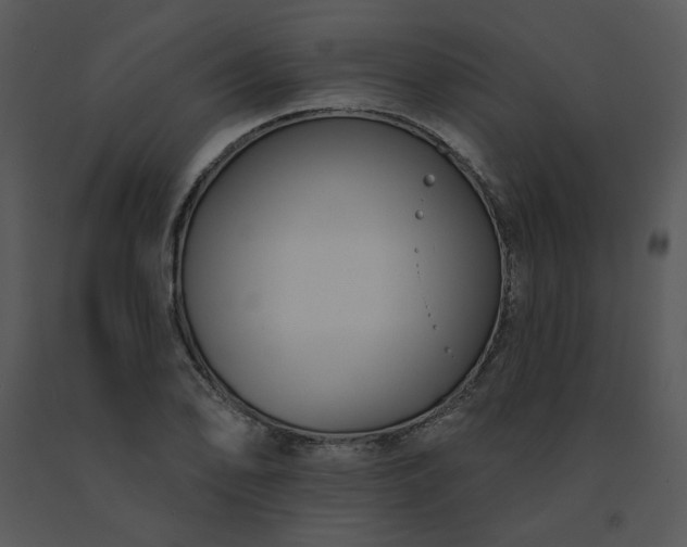 X0000091511078200708311222