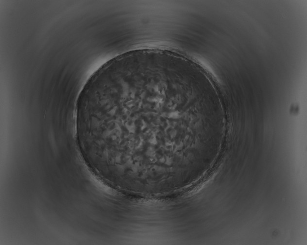 X0000091511079200708311222