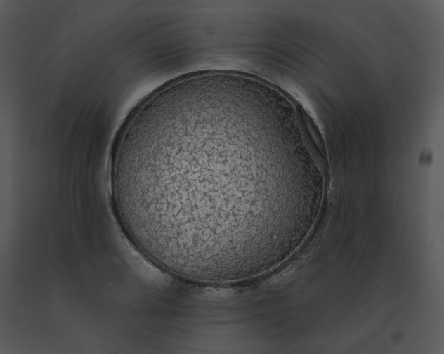 X0000091511080200708311222