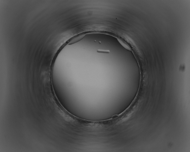 X0000091511081200708311222