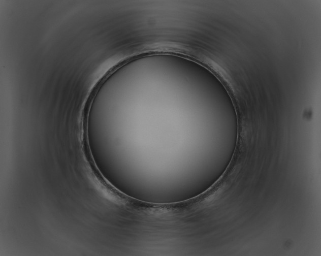 X0000091511082200708311222