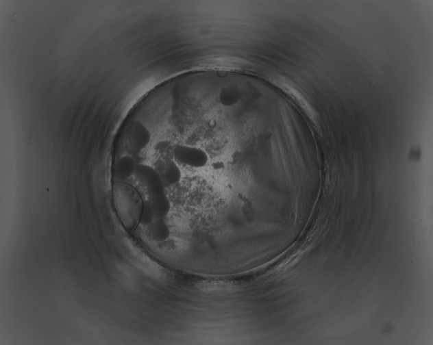 X0000091511083200708311222