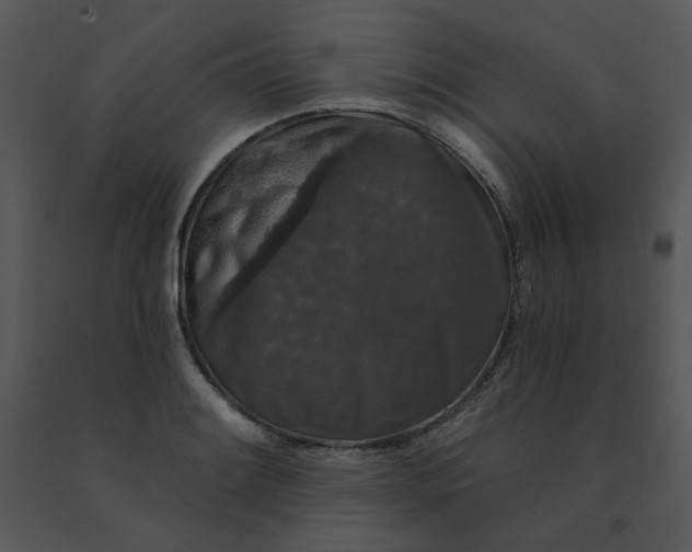 X0000091511084200708311222