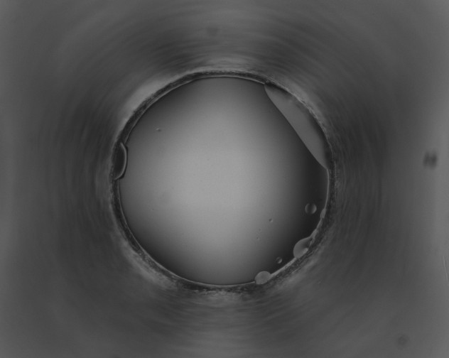 X0000091511085200708311222