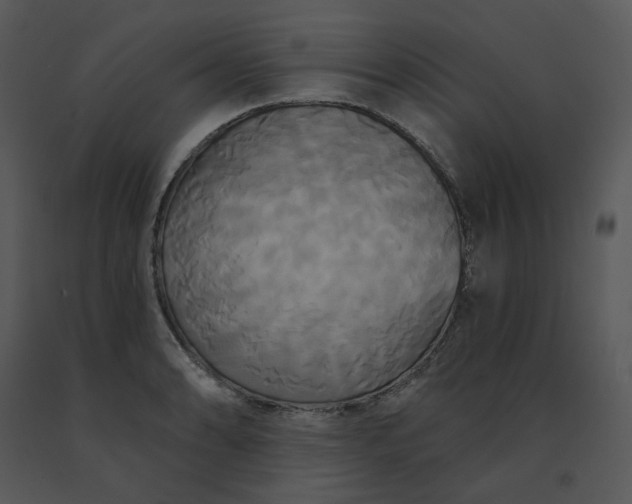 X0000091511086200708311222