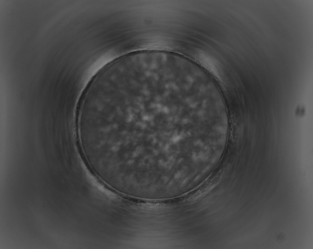 X0000091511087200708311222