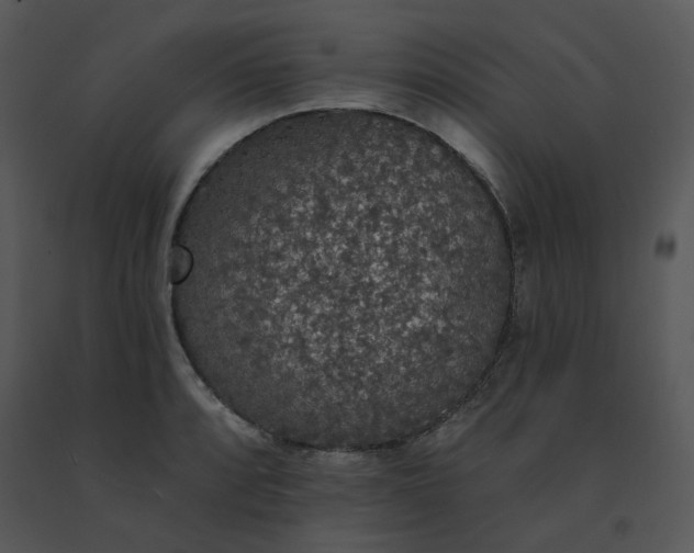 X0000091511088200708311222