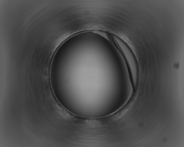 X0000091511089200708311222