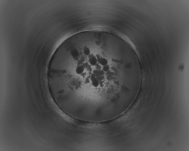 X0000091511091200708311222