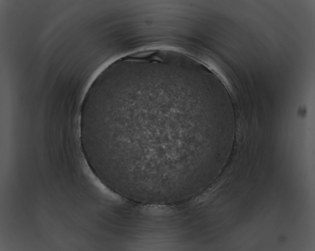 X0000091511092200708311222