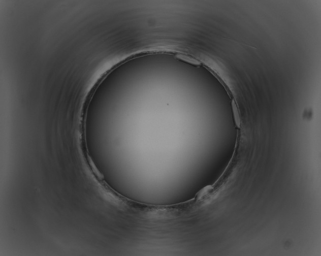 X0000091511093200708311222