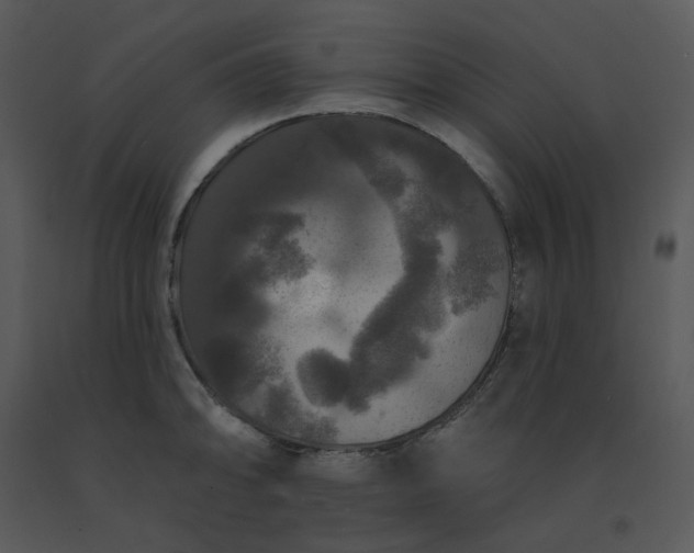 X0000091511094200708311222