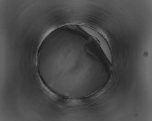 X0000091511095200708311222