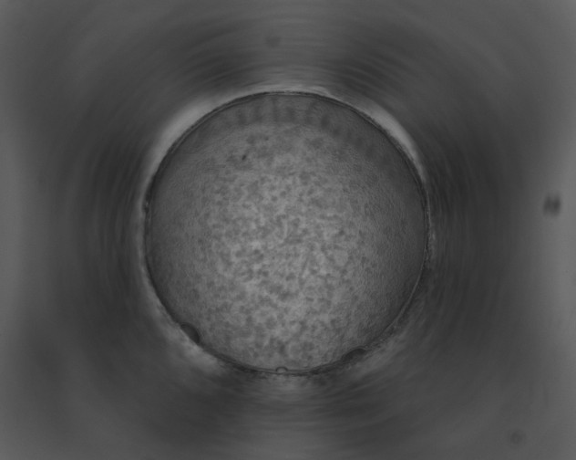 X0000091511096200708311222