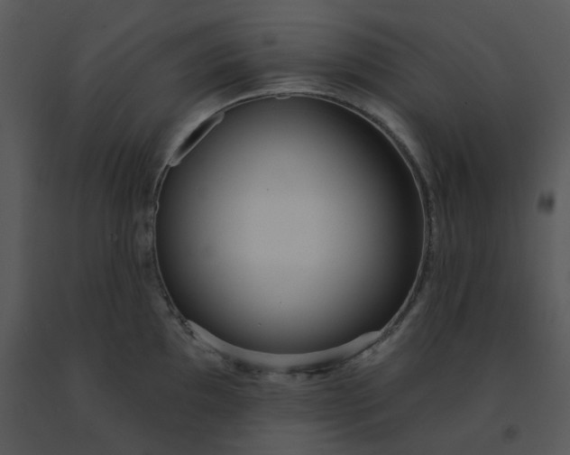 X0000091511097200708311222