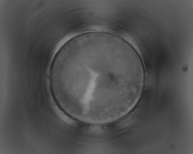 X0000091511098200708311222