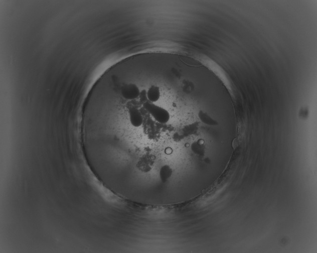 X0000091511099200708311222