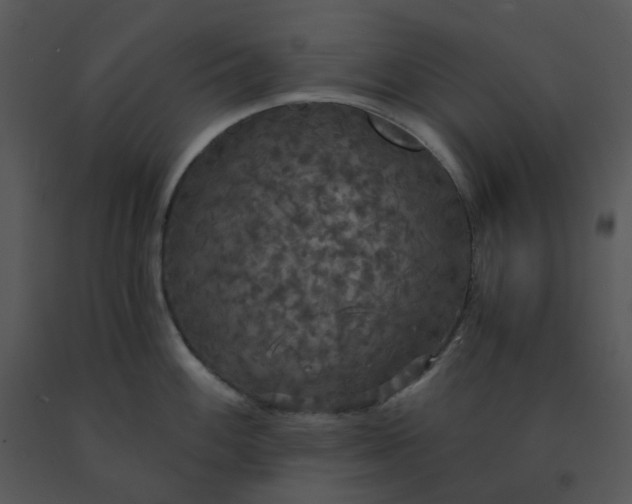 X0000091511100200708311222